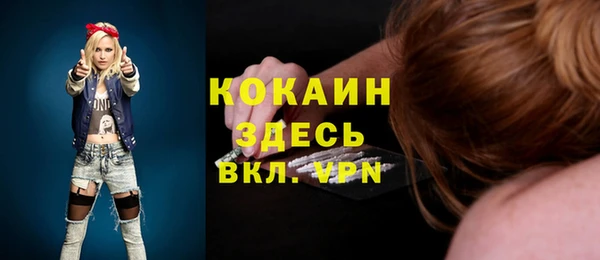 apvp Козельск