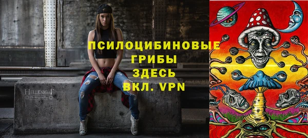 apvp Козельск